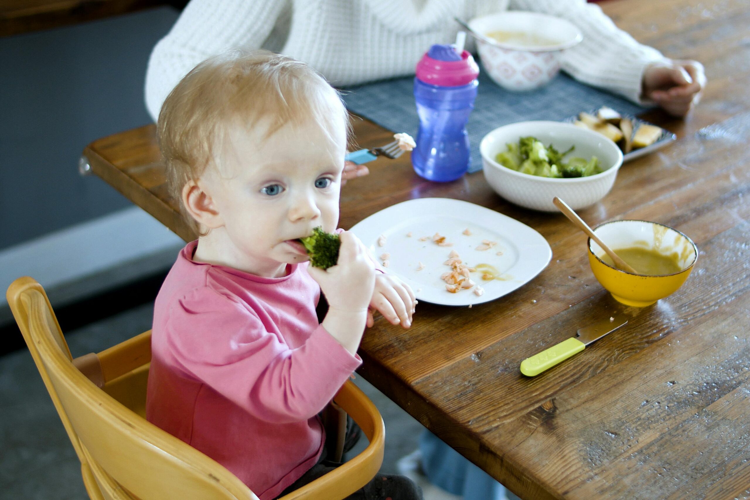 Alimentação para bebês com idade adequada